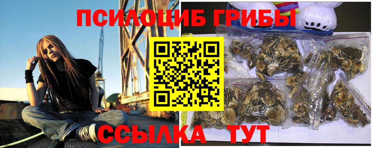 Волгодонск  Галлюциногенные грибы мухоморы  Вход с VPN 